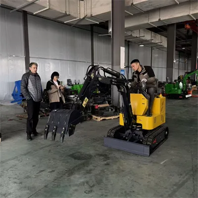 Pelanggan Jerman Mengunjungi Pabrik Kami Untuk Memeriksa Ekskavator Remote Co...